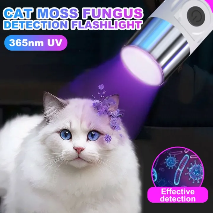 USB Rechargeable UV Flashlight for Currency Check, Pet Care, Resin Curing Detection